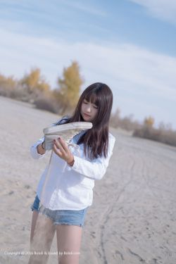 南来北往一共多少集
